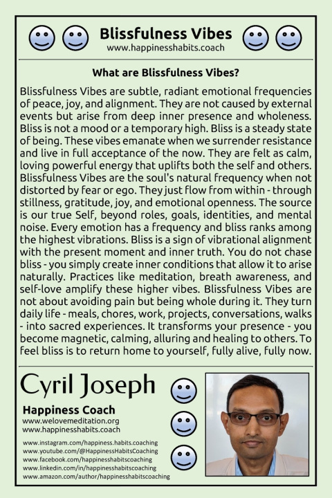 Buch Blissfulness Vibes Cyril Joseph