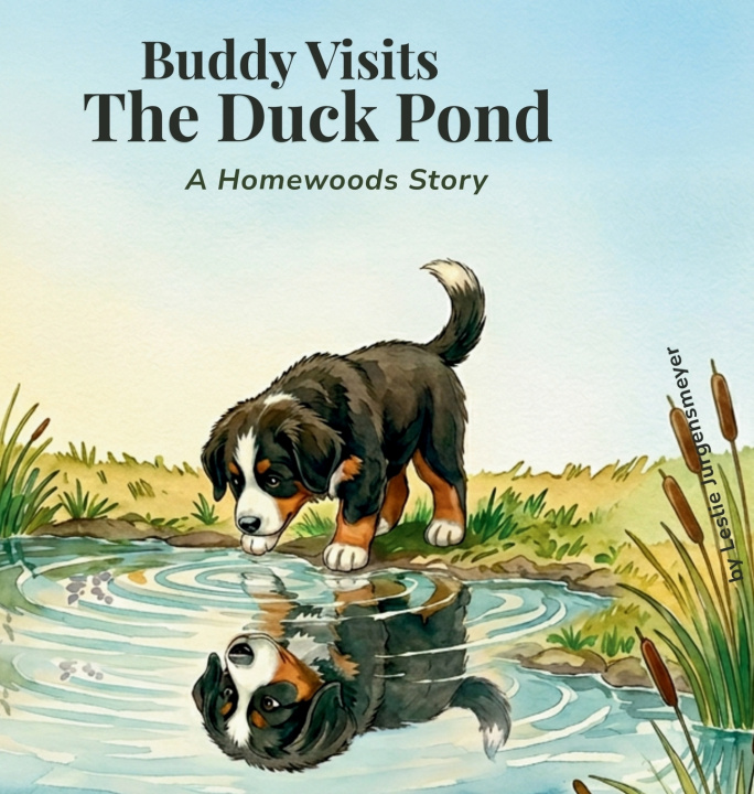 Carte Buddy Visits the Duck Pond Leslie Jurgensmeyer