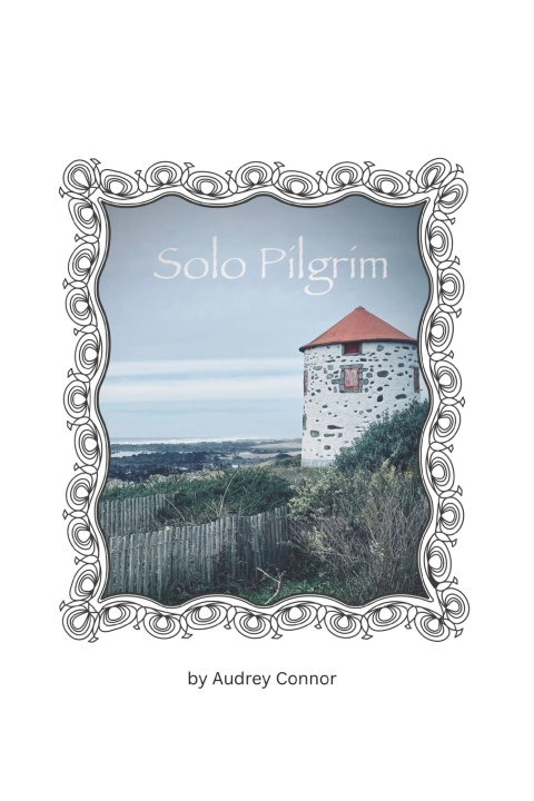 Boek Solo Pilgrim Audrey Connor