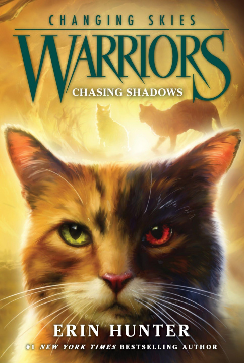 Buch Warriors: Changing Skies #3: Chasing Shadows 