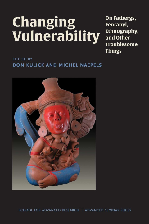 Book Changing Vulnerability Don Kulick