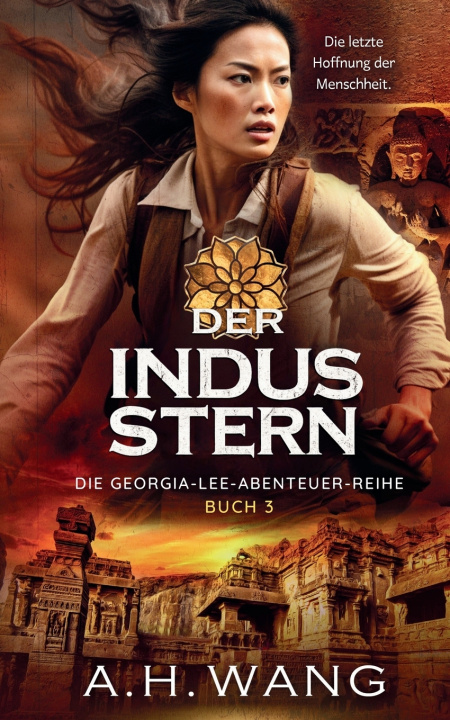 Book Der Indus-Stern A.H. Wang