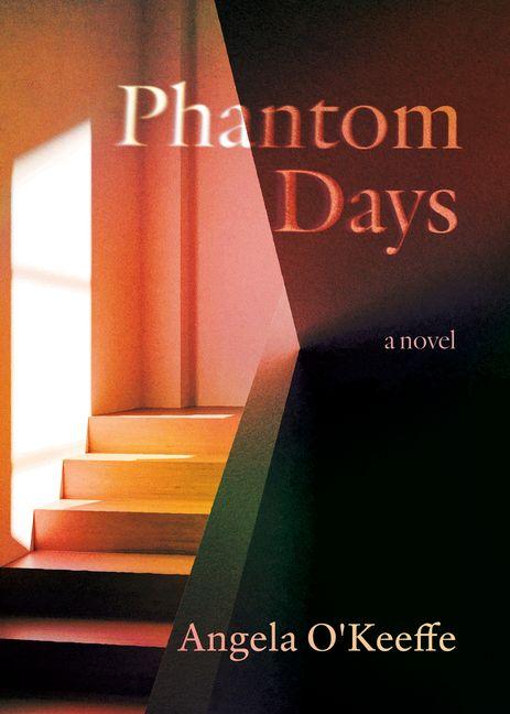 Książka Phantom Days 