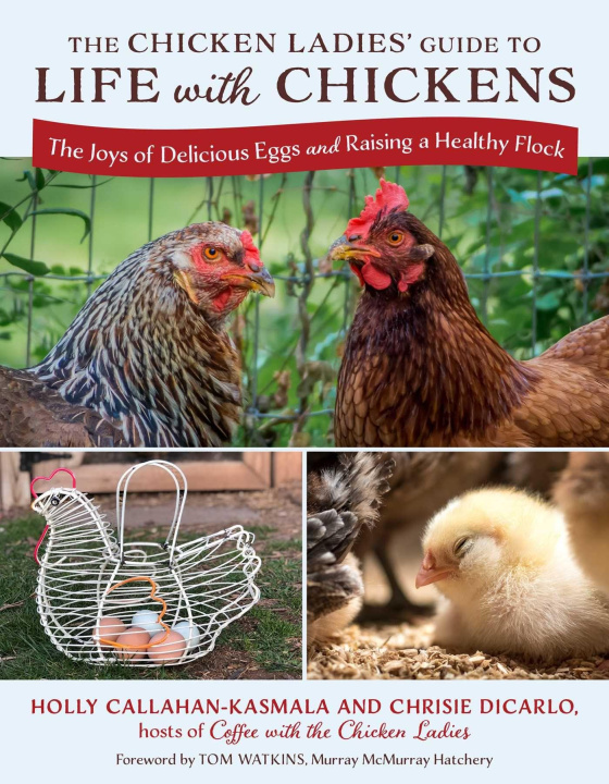 Libro The Chicken Ladies' Guide to Life with Chickens Chrisie DiCarlo