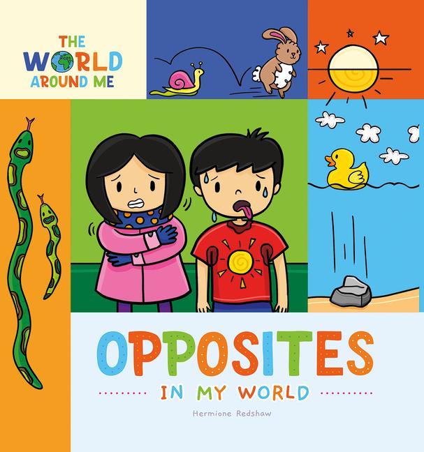 Buch Opposites in My World 