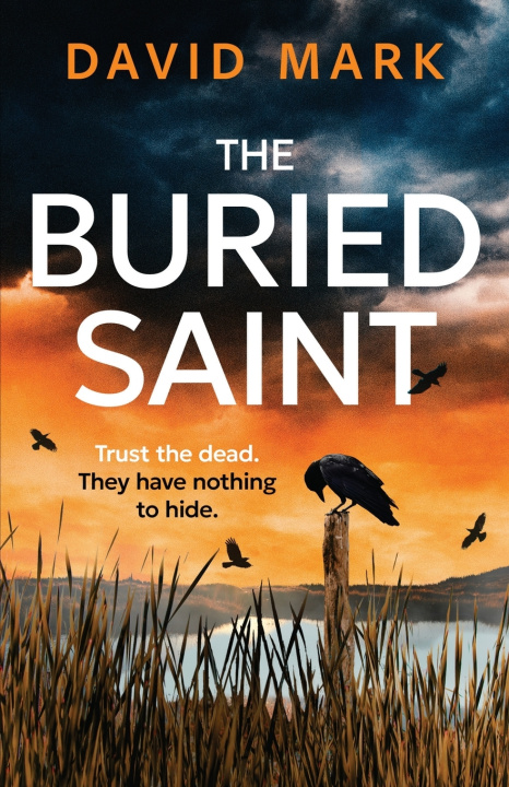 Buch The Buried Saint David Mark