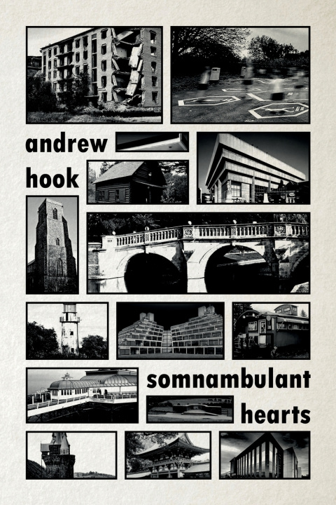 Book Somnambulant Hearts Andrew Hook