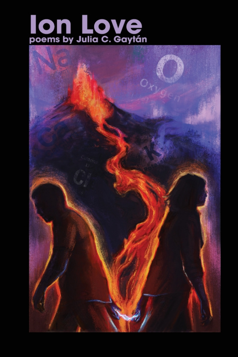 Buch Ion Love Julia C. Gaytán