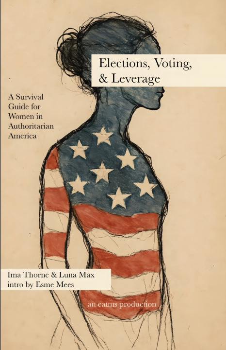 Książka Elections, Voting, & Leverage - Civics Book 3 Ima Thorne