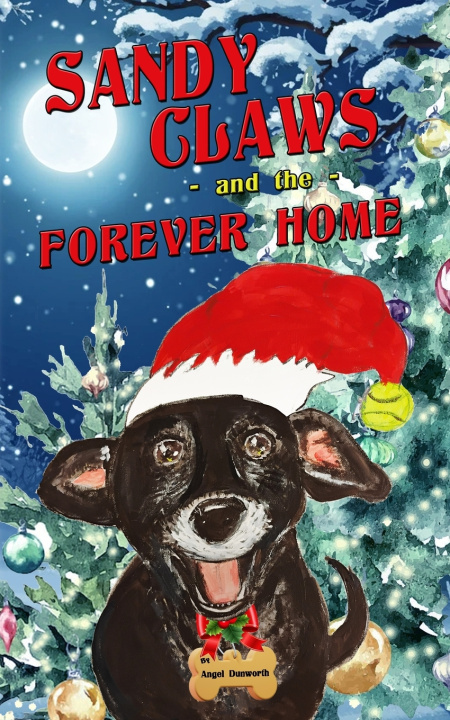 Książka Sandy Claws and the Forever Home Angel Dunworth