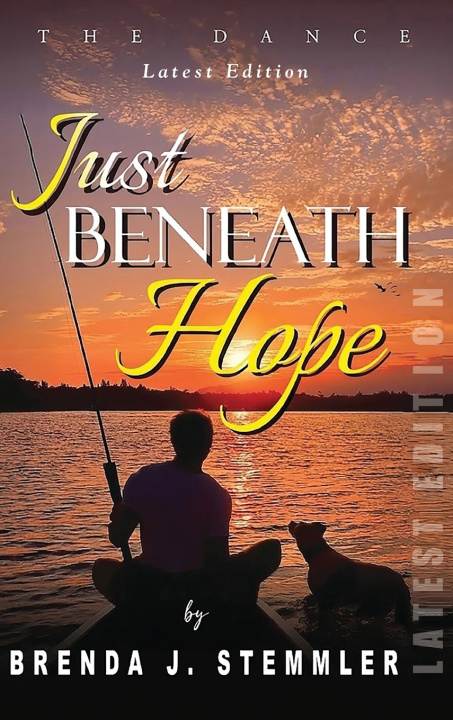 Buch Just Beneath Hope Brenda J. Stemmler