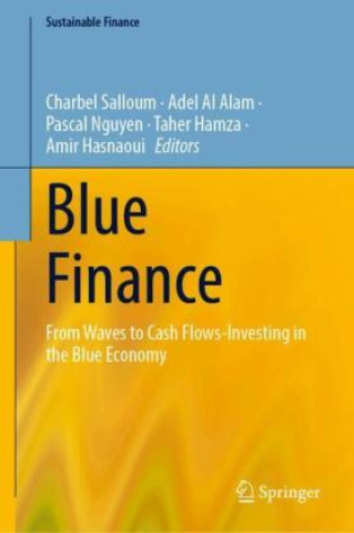 Buch Blue Finance Charbel Salloum