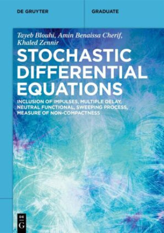 Buch Stochastic Differential Equations Tayeb Blouhi