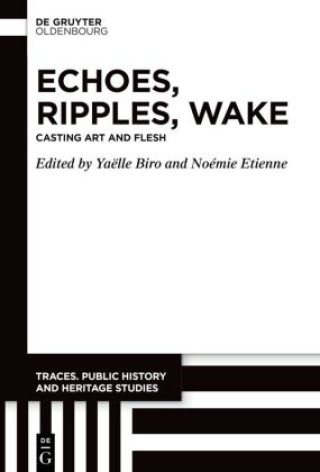 Buch Echoes, Ripples, Wake Yaëlle Biro