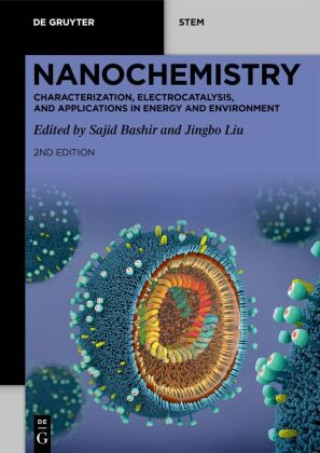 Buch Nanochemistry Sajid Bashir