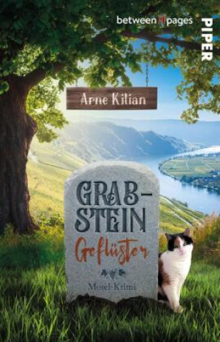 Buch Grabsteingeflüster Arne Kilian