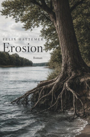 Buch Erosion Felix Hattemer