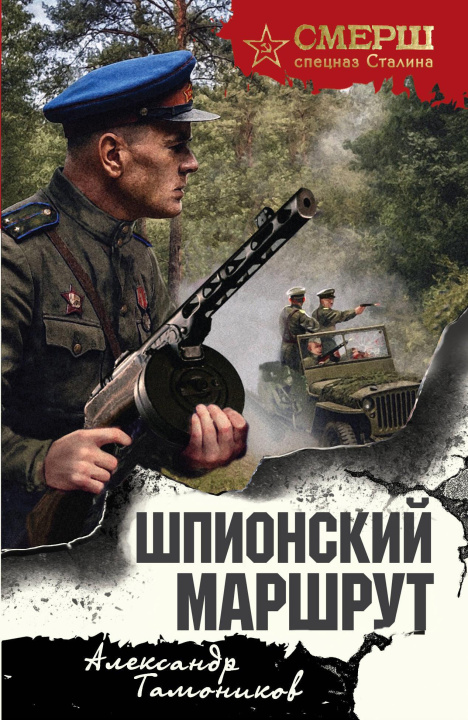Buch Шпионский маршрут Александр Тамоников