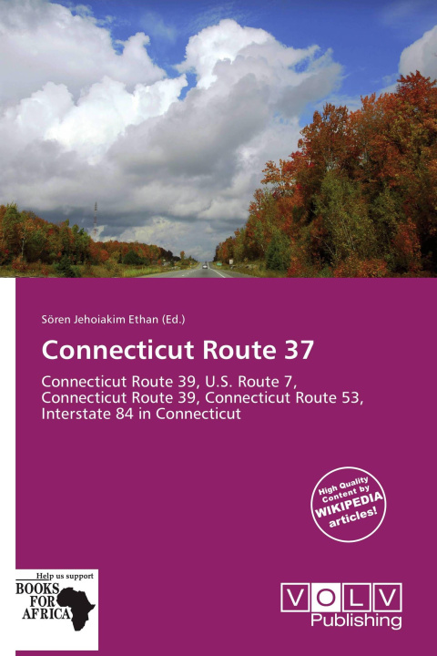 Libro Connecticut Route 37 