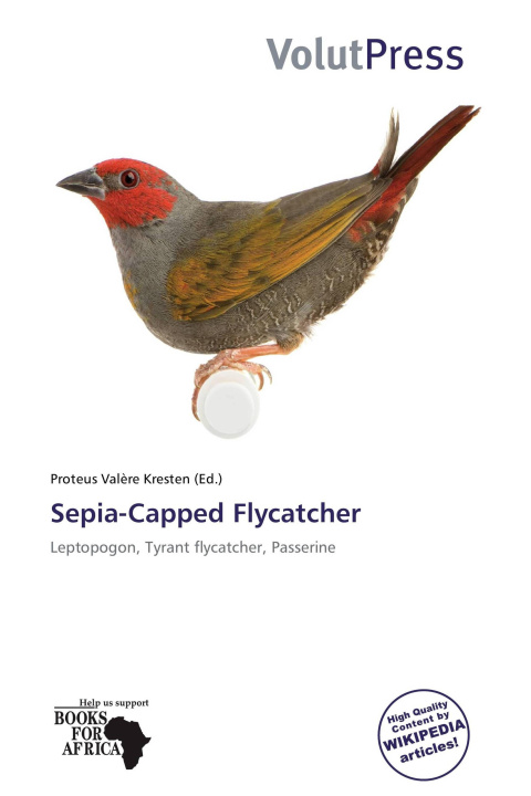 Libro Sepia-Capped Flycatcher 