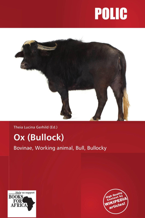 Buch Ox (Bullock) 