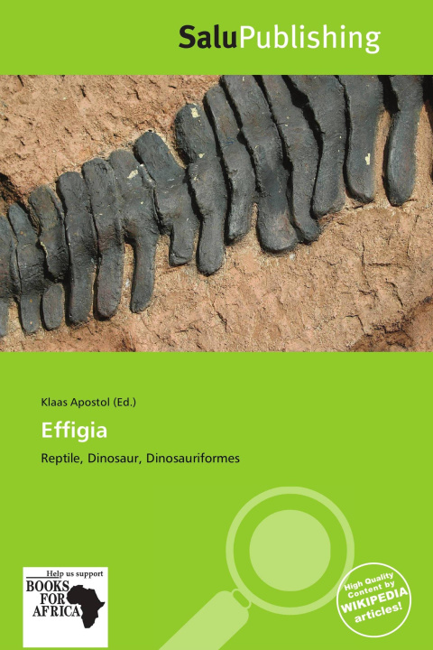 Buch Effigia 