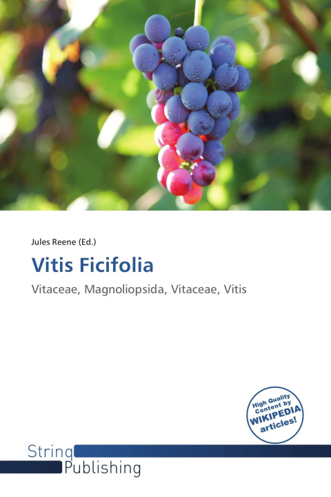 Buch Vitis Ficifolia 