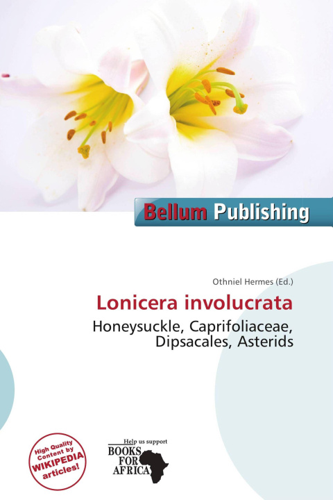 Buch Lonicera involucrata 