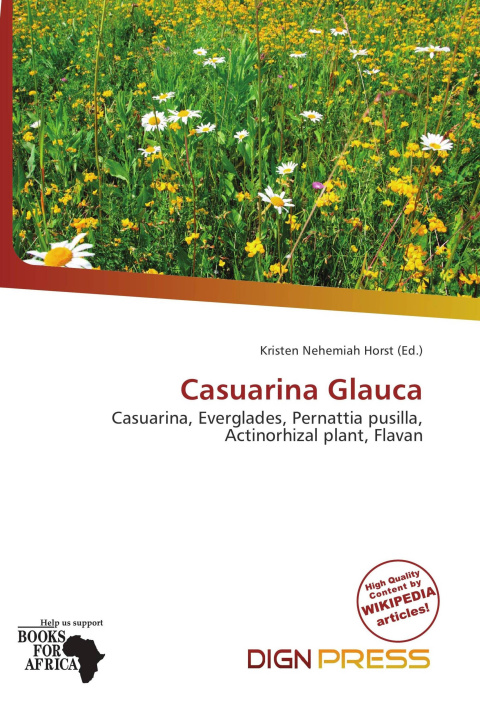 Buch Casuarina Glauca 