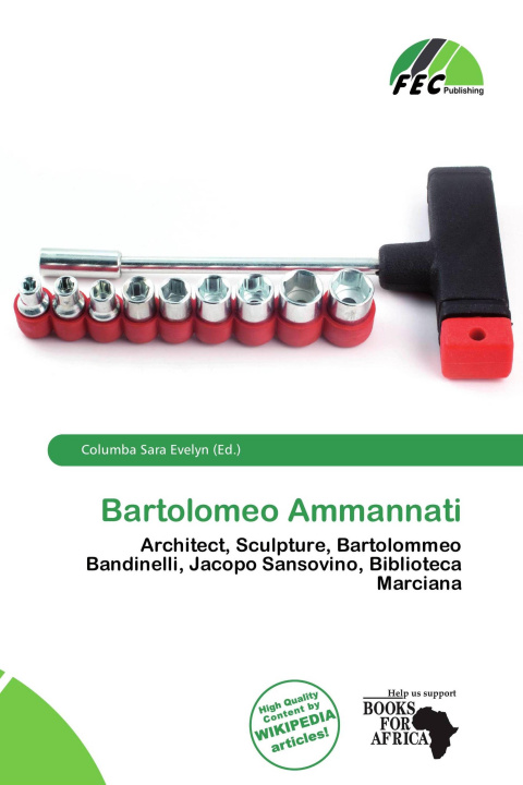 Buch Bartolomeo Ammannati 