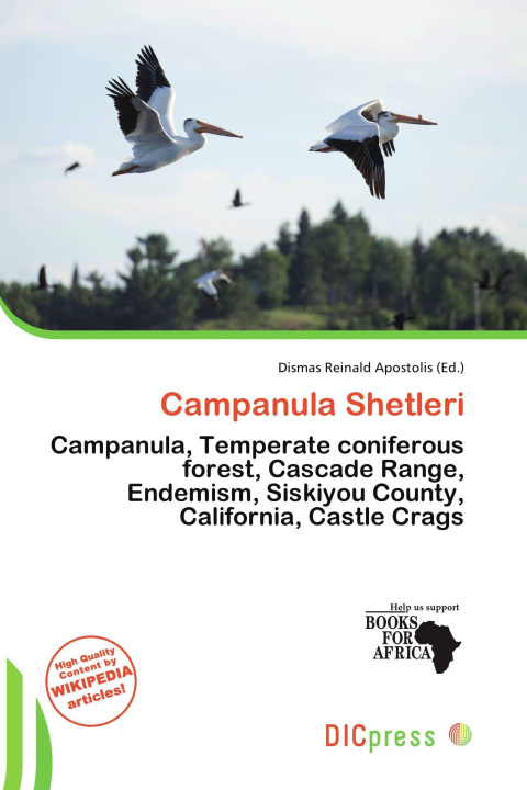 Buch Campanula Shetleri 