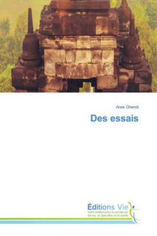 Libro Des essais Anas Ghendi