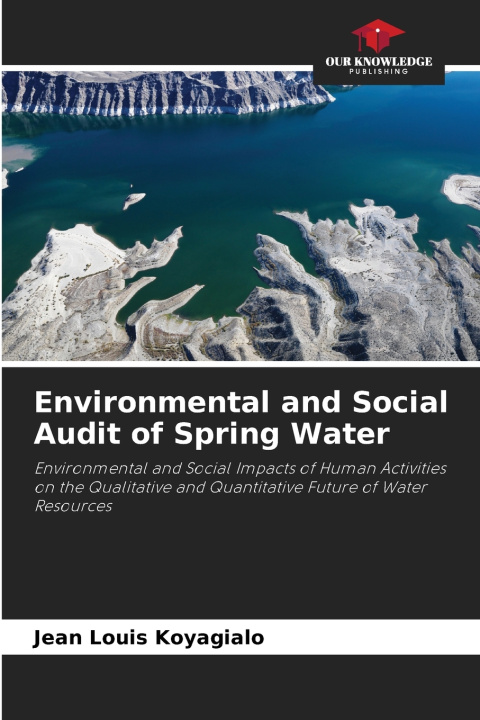 Buch Environmental and Social Audit of Spring Water Jean Louis Koyagialo