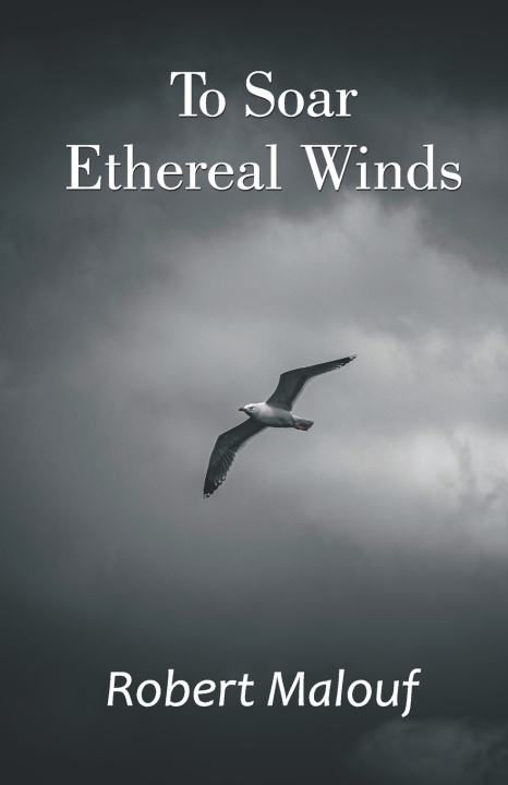 Buch To Soar Ethereal Winds Robert Malouf