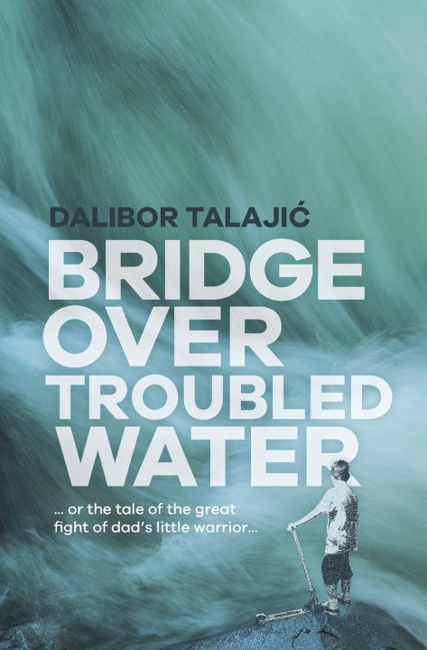 Buch Bridge Over Troubled Water Danijela Helc