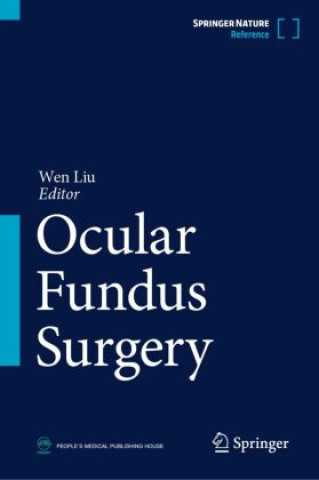 Buch Ocular Fundus Surgery Wen Liu