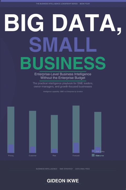 Könyv BIG DATA, SMALL BUSINESS Gideon Ikwe