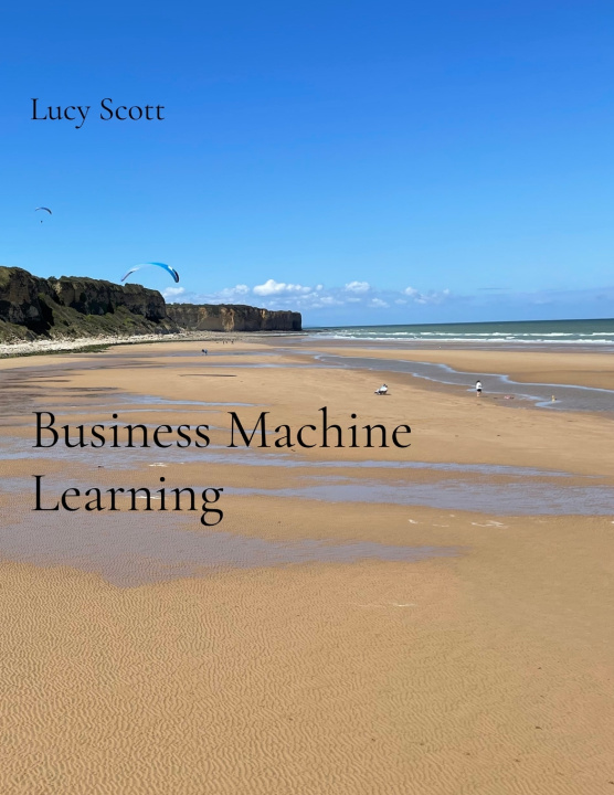 Boek Business Machine Learning Lucy Scott