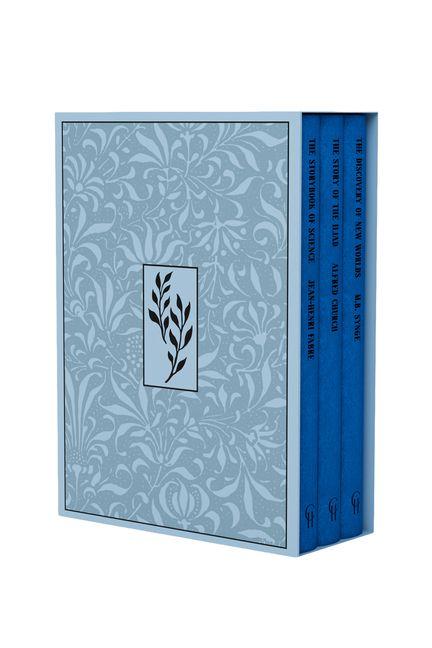 Libro Chapter III 