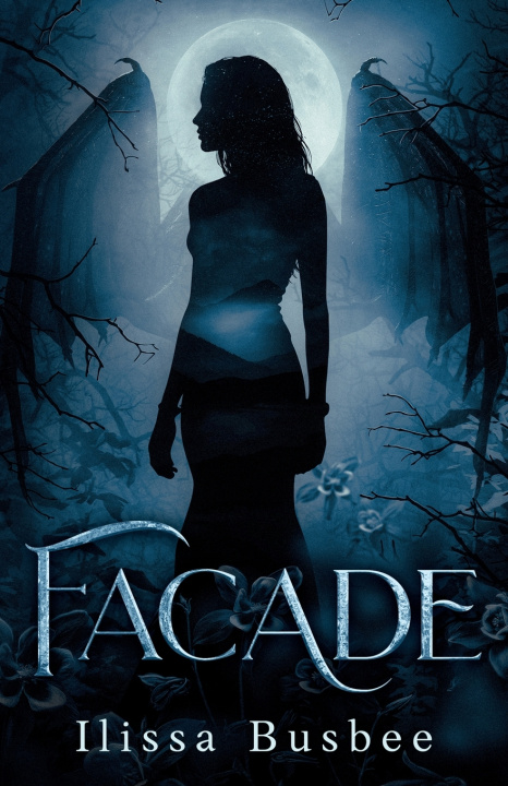 Βιβλίο Facade Ilissa Busbee
