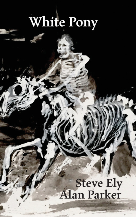 Buch White Pony Steve Ely