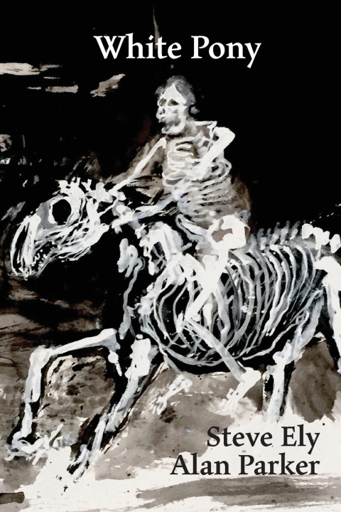 Kniha White Pony Steve Ely