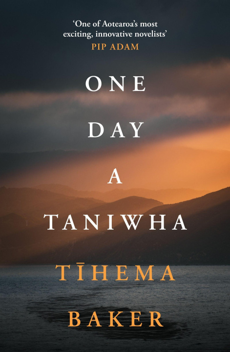 Book One Day A Taniwha Tihema Baker