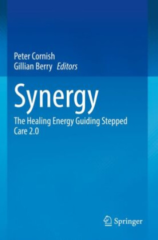 Buch Synergy Gillian Berry