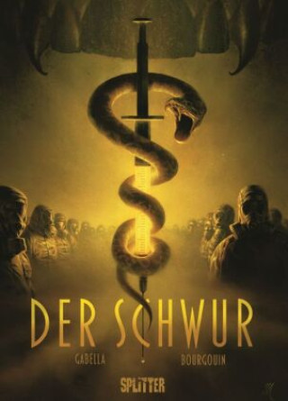 Libro Der Schwur Mathieu Mariolle
