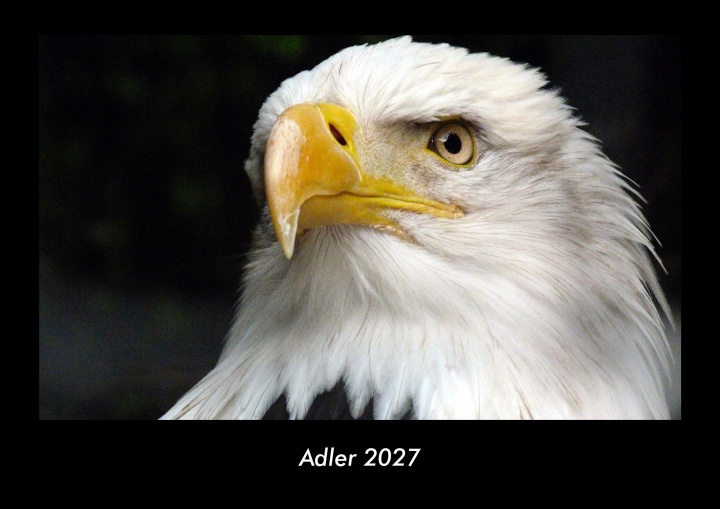 Kalendář/Diář Adler 2027 Fotokalender DIN A3 