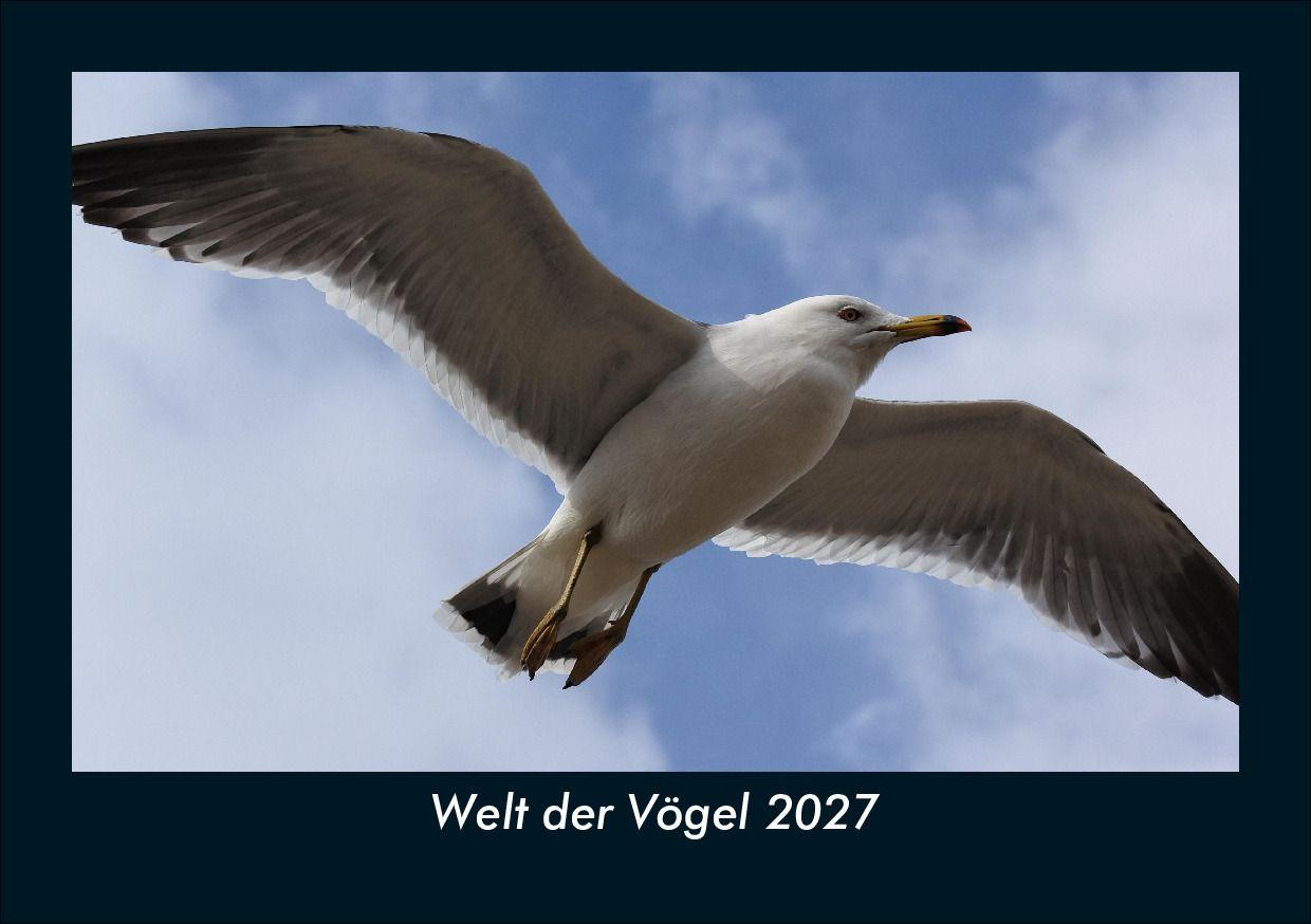 Kalender/Terminbuch Welt der Vögel 2027 Fotokalender DIN A5 Kevin Heber