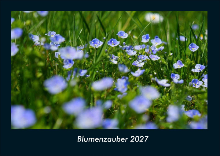 Kalender/Terminbuch Blumenzauber 2027 Fotokalender DIN A4 Kevin Heber