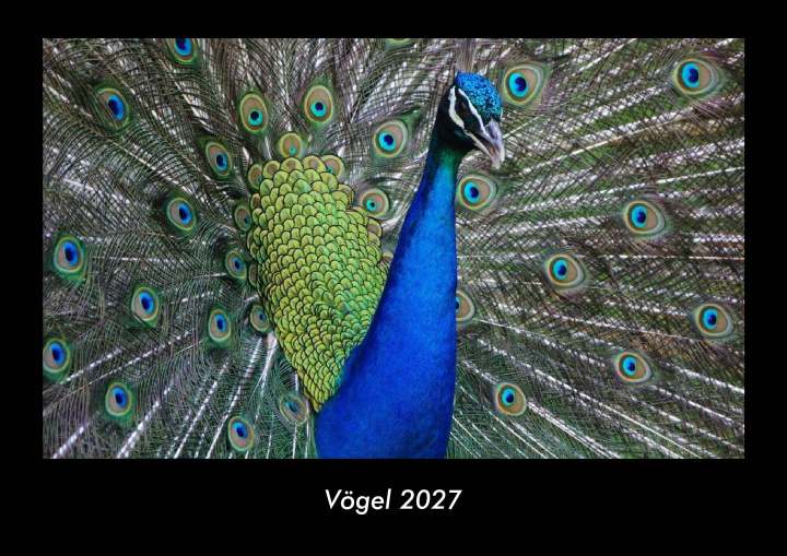 Kalendář/Diář Vögel 2027 Fotokalender DIN A3 