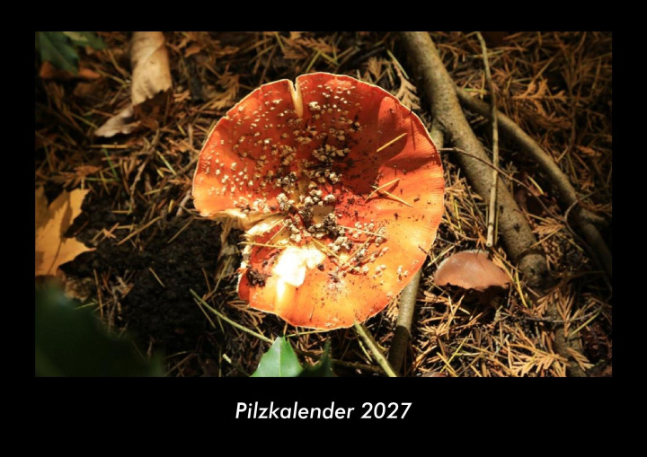 Calendario/Agenda Pilzkalender 2027 Fotokalender DIN A3 